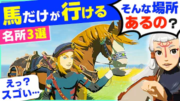 有能な馬ゼルダ