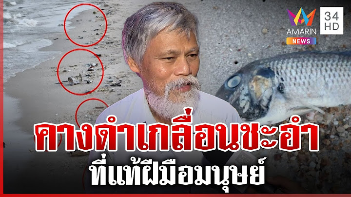 ผวา! ปลาหมอคางดำเกลื่อนหาดชะอำ หวั่นระบาดซ้ำ | ทุบโต๊ะข่าว | 02/05/68