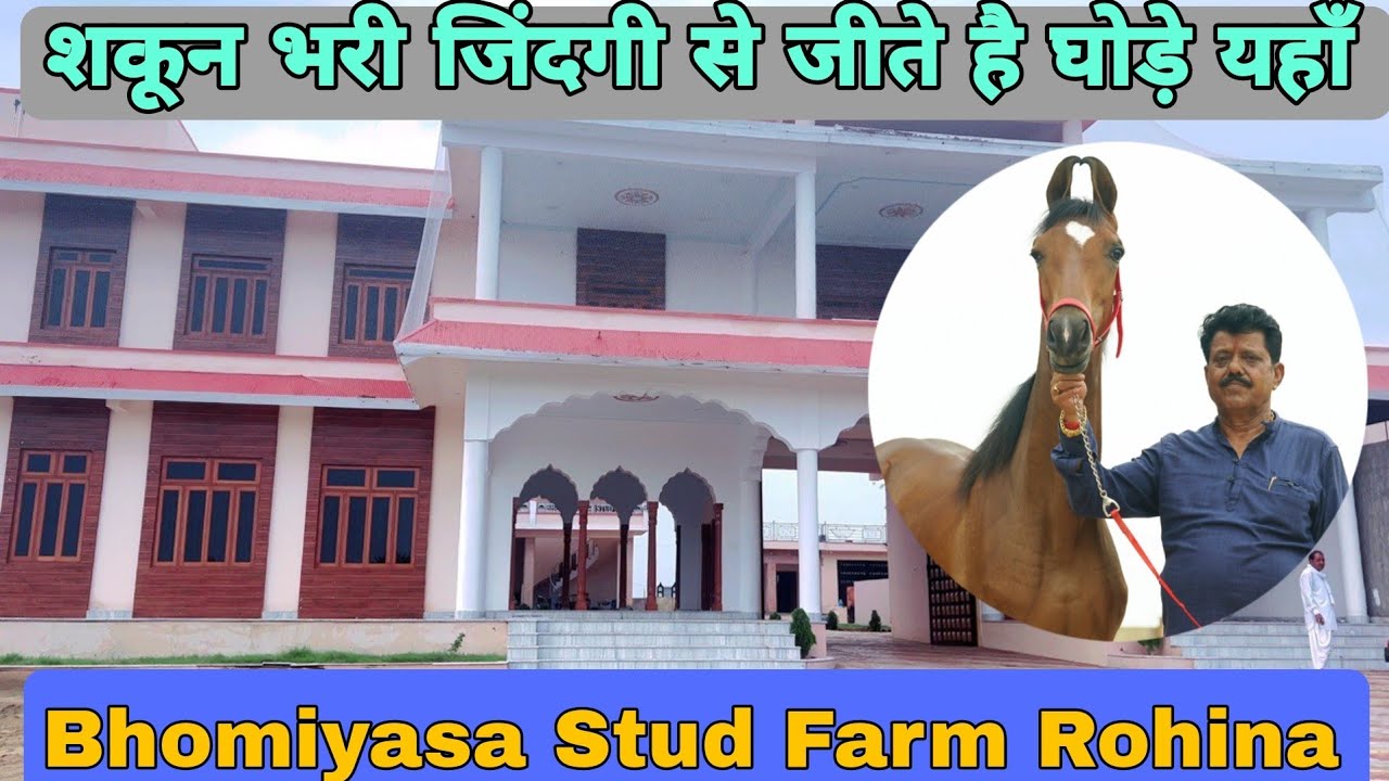 जितना अच्छा फ़ार्म उतने ही अच्छे घोड़े मिलेंगे आपको इस फ़ार्म पर ॥ Bhomiyasa Stud Farm
