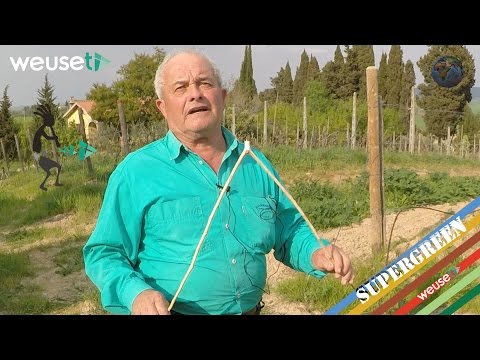 Video: Come Determinare La Profondità Dell'acqua