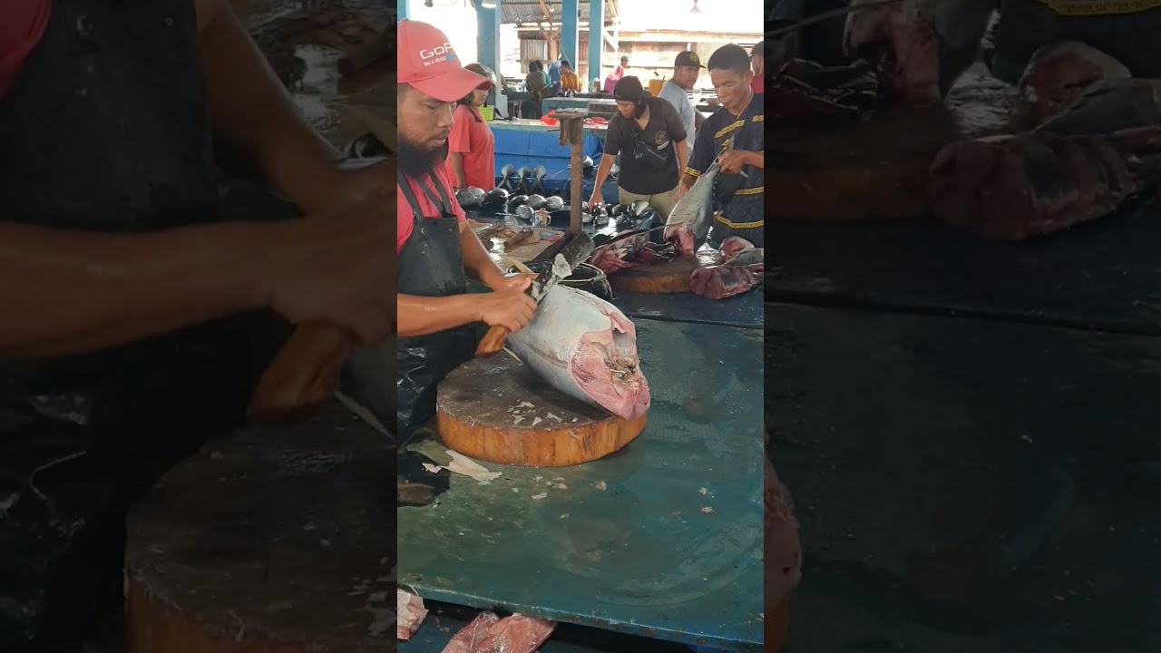Good Sharp Knife | Tuna Cutting Skills Indo 