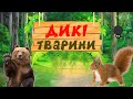 Дикі тварини для дітей Навчальне відео з голосами та звуками тварин mp3