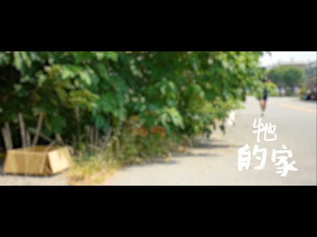 豪享躺平 攝影 - 大成商工 讓牠有個家微電影 牠的家