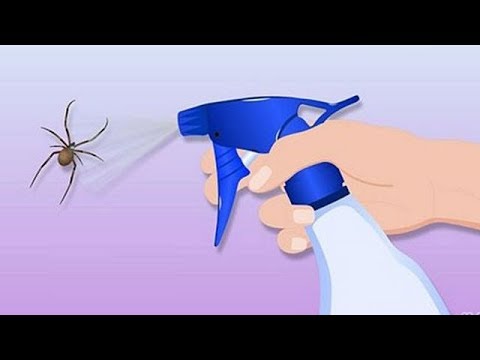 Βίντεο: Πώς να απαλλαγείτε από τα έντομα στο σπίτι σας
