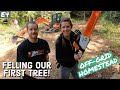 Felling Trees And Driving Our Excavator! | E4