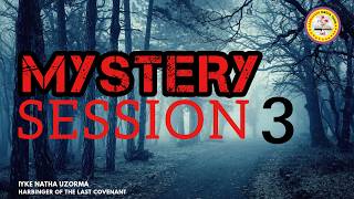 Celebrity Mystery Session Three Profile