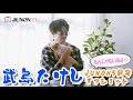 【武島たけし】スーツにサングラスの料理系YouTuber！