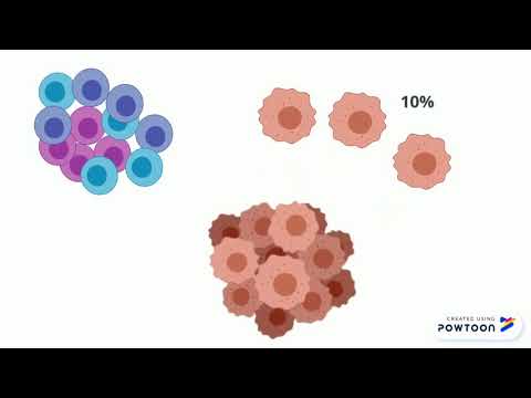 Vídeo: Proteínas Relacionadas Con El Punto De Control Inmunitario Soluble Como Predictores De Recurrencia Tumoral, Supervivencia Y Fenotipos De Células T En Pacientes Con Carcinoma De Cél