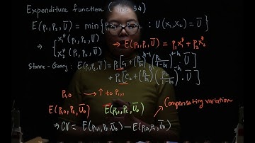 2. Expenditure function - Shephard