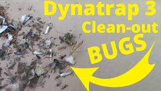 Costco Dynatrap 3 Real Life Clean-out See the Bugs Day 7