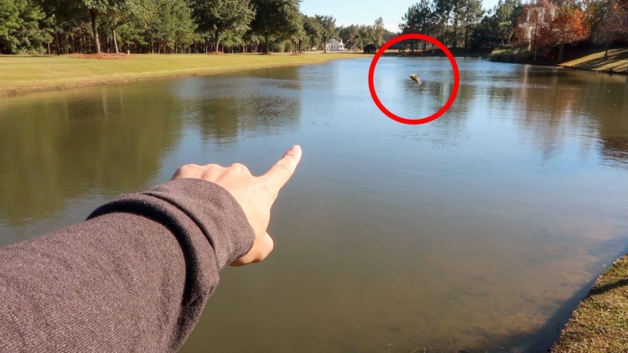 flw videos #1 POND FISHING Tip For This WINTER (Bass Fishing Tips)