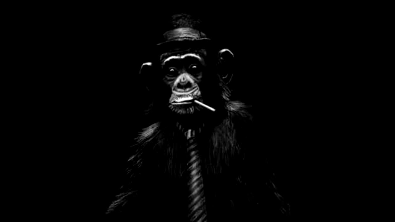 Обезьяна с кальяном картинки