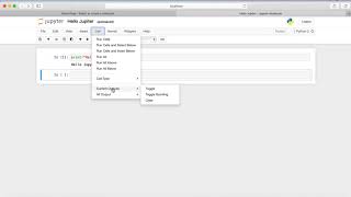15. Jupyter notebook interface explanation Net Worth