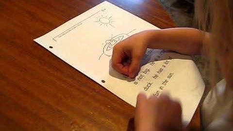 The Reading Lesson - Teach Your Child to Read in 20 Easy Lessons