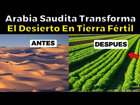 Cómo Arabia Saudita TRANSFORMA el desierto en un OASIS de Tierra Fértil