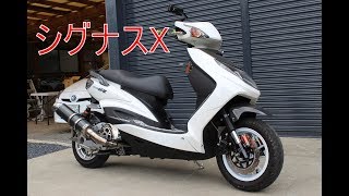 シグナスX　ロンホイカスタム車両