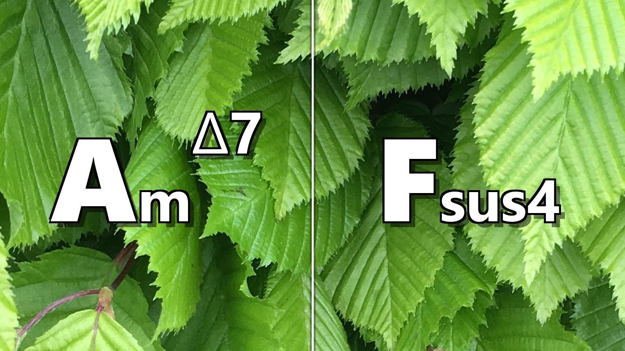 Am maj7 to Fsus4 Backing Track