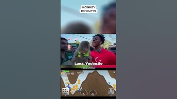 Monkey Business #shortsvideo #ishowspeed