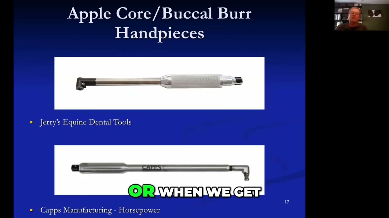 Apple Core Burs in Equine Dentistry: Precision Tools for Bit Seats and Aging Horses