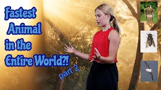 Fastest Animals In The World Part 2 - With Saree. Say Hi Saree