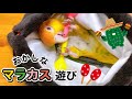 【シロハラインコ】おかしなマラカス遊び&おもしろ行動／【ウロコインコ】のうきうきダンス