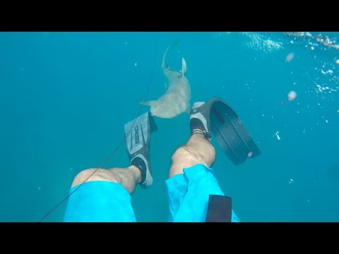 Video: Snorkeling: al largo o fuori dalla barca