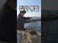 집앞통발 2마리#통발 #jj #놀래미