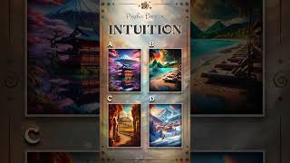 Which Image Have I Chosen? Intuition #19