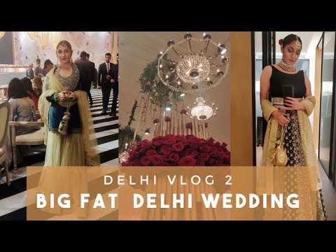 Vlog 17 | The Big Fat Delhi Wedding | Saddi Dilli Part 2