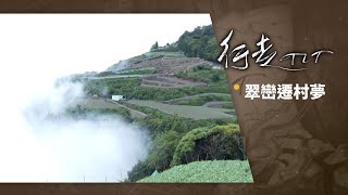 翠巒遷村夢 | 行走TIT第212集