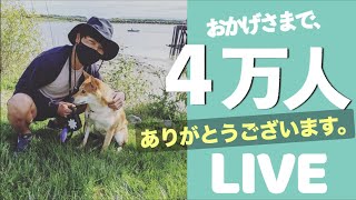 【LIVE配信】おかげさまで登録者数４万人、感謝を伝えるライブ。