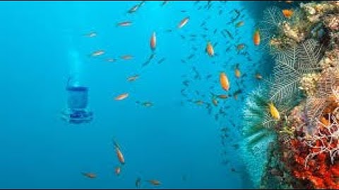 underwater backscattering networking - backscatter overview