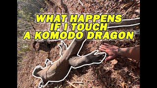 WHAT WILL HAPPEN IF I TOUCH THIS KOMODO DRAGON | THE REAL TARZANN