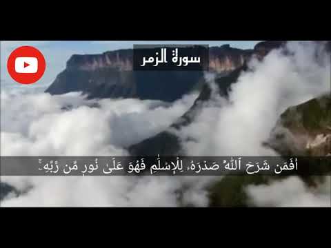 أفمن شرح الله صدره للإسلام فهو على نور من ربه سورة الزمر القارئ ماهر المعيقلي