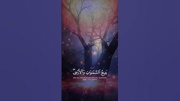 تلاوة مؤثرة هتنسيك هموم الدنيا 😭💙 ياسر الدوسري 💙 #قرآن #قران_كريم #ياسر_الدوسري #تلاوة_خاشعة #quran