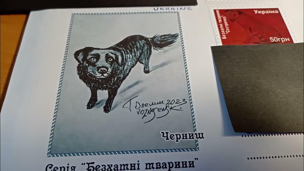 Letter to New Zealand! Почта Медведьевича!) YouTube
