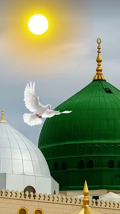 Lazim he Gulami py guroor❤❤❤❤❤❤❤❤❤❤#mohammad #rasoolallah #shabirdero #ytshorts