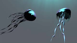 jellyfish in cinema 4d