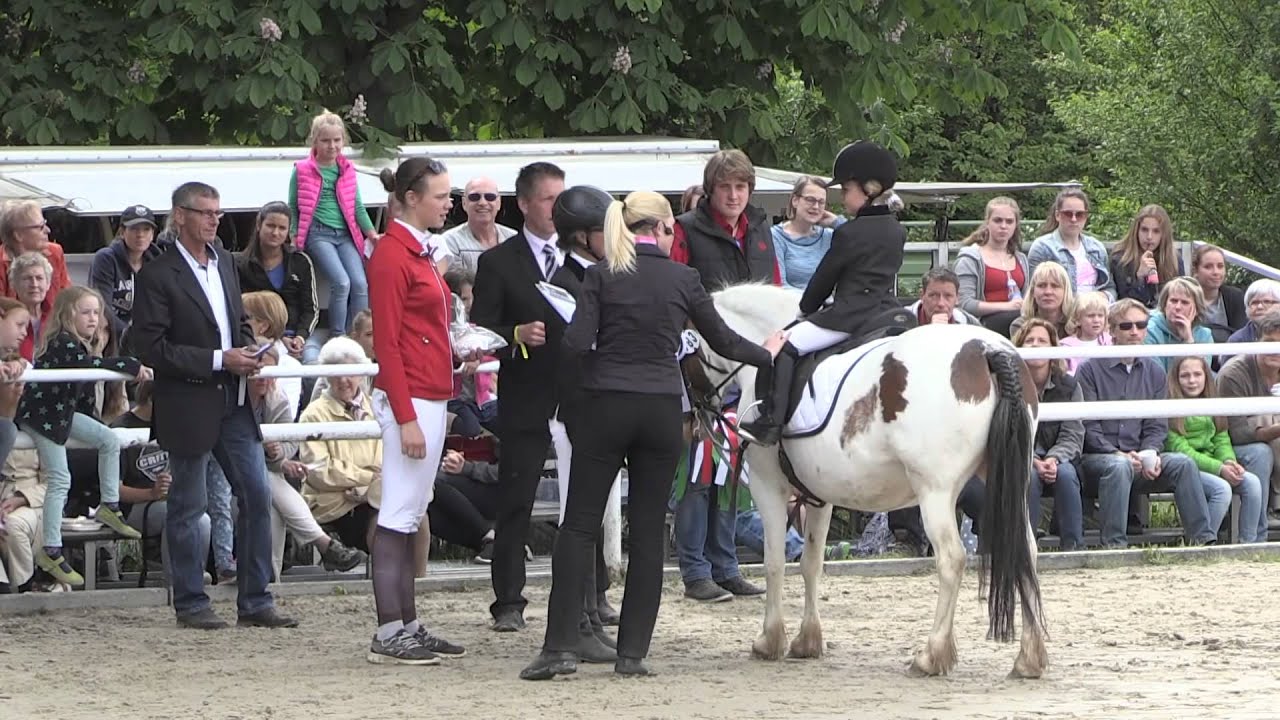 Pony Führzügelklasse