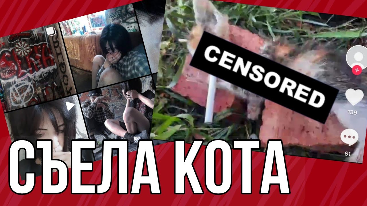 Кот ест лапу. Котята с сердцами кровавыми. Как зовут человека который съел сердце котенка. Чел съел сердце котенка. Мальчик сьел сердце котёнка.