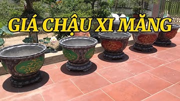 Giá chậu xi măng tròn 70cm siêu rẻ chỉ 188k/ 1 chiếc