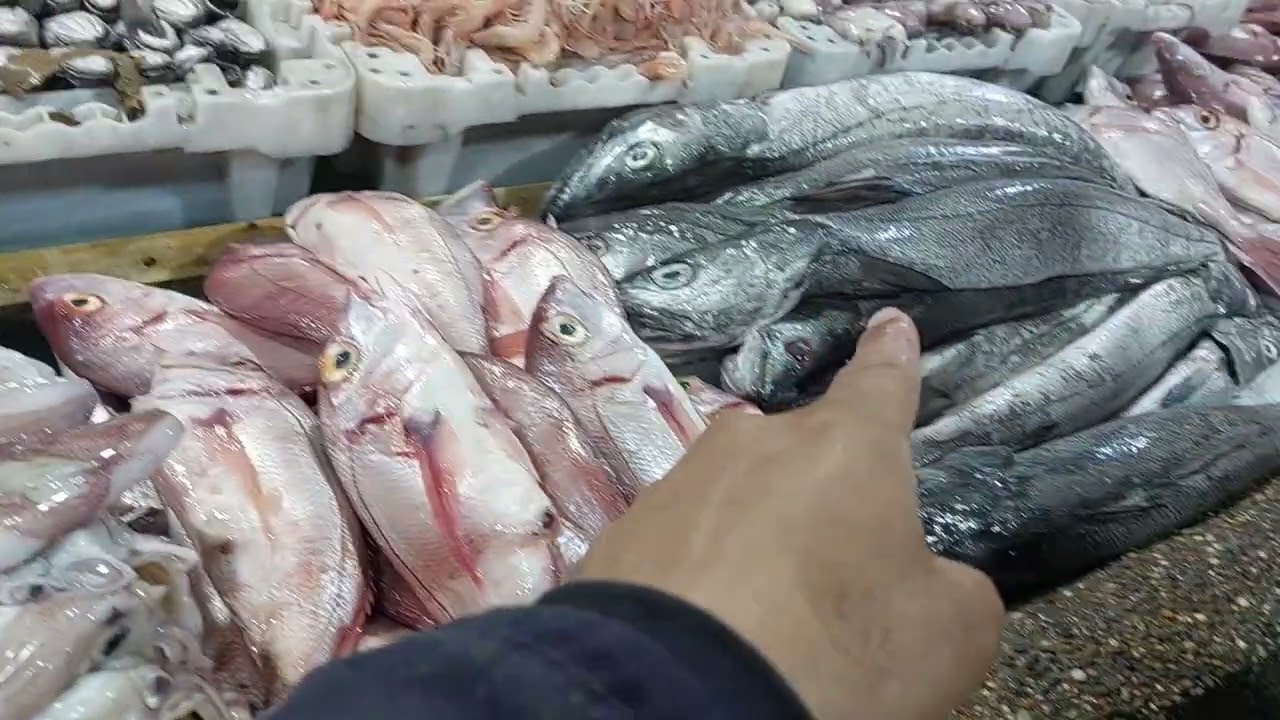 يوم الأربعاء 2026..3..4...الجديد الوليد..حنا خدمين