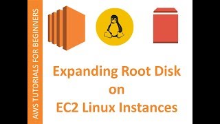 AWS Cloud | EC2 Web Service | Extending the Linux ROOT EBS volumes