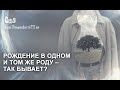 Рождение в одном и том же роду – так бывает?