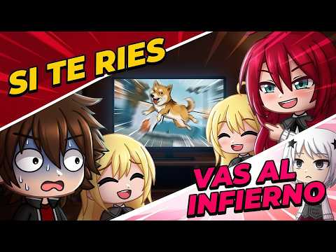 HIGH SCHOOL DXD REACCIONA ║ VIDEOS DIVERTIDOS GACHA TIKTOK