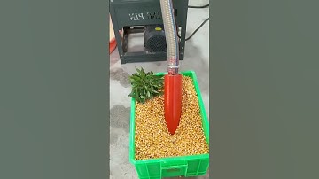 self-priming crusher machine, a good helper for crushing grain