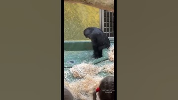 Why TRADING/FOREX Is A Huge SCAM! 🤯  #trading #forex #fundedtrader #daytrader