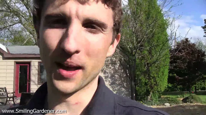 Sheet Mulching Video - How To Make The Ultimate Sheet Mulch