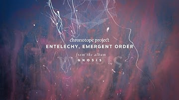 Entelechy, Emergent Order – Chronotope Project