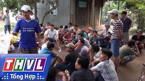 THVL | Người đưa tin 24G: Triệt phá tụ điểm đánh bạc quy mô lớn tại An Giang
